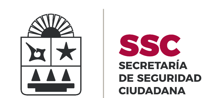 Logo Institucional 1